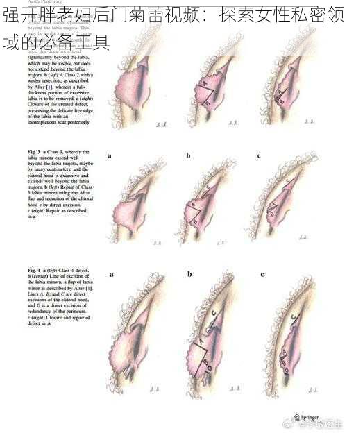 强开胖老妇后门菊蕾视频：探索女性私密领域的必备工具