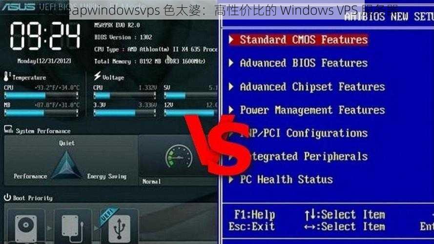 70cheapwindowsvps 色太婆：高性价比的 Windows VPS 服务器