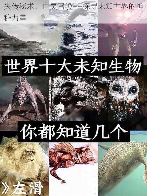 失传秘术：亡灵召唤——探寻未知世界的神秘力量