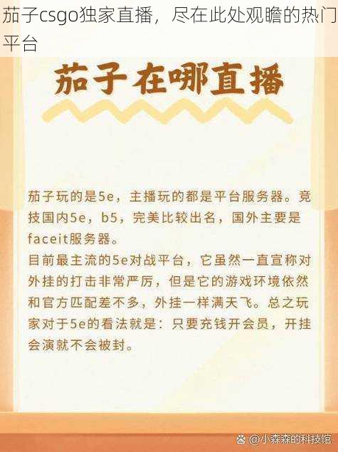 茄子csgo独家直播，尽在此处观瞻的热门平台