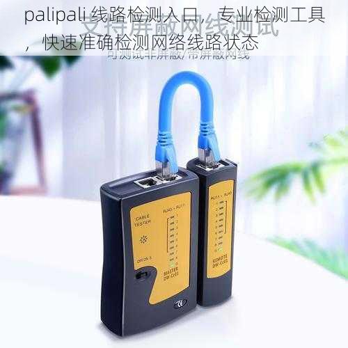 palipali 线路检测入口，专业检测工具，快速准确检测网络线路状态