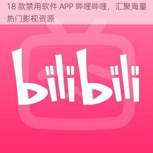 18 款禁用软件 APP 哔哩哔哩，汇聚海量热门影视资源