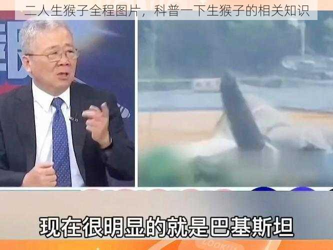 二人生猴子全程图片，科普一下生猴子的相关知识