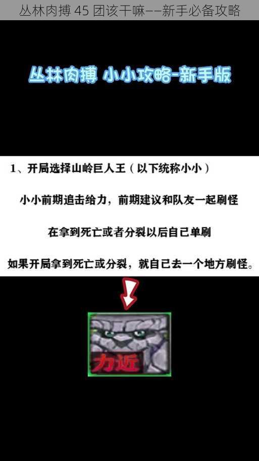 丛林肉搏 45 团该干嘛——新手必备攻略