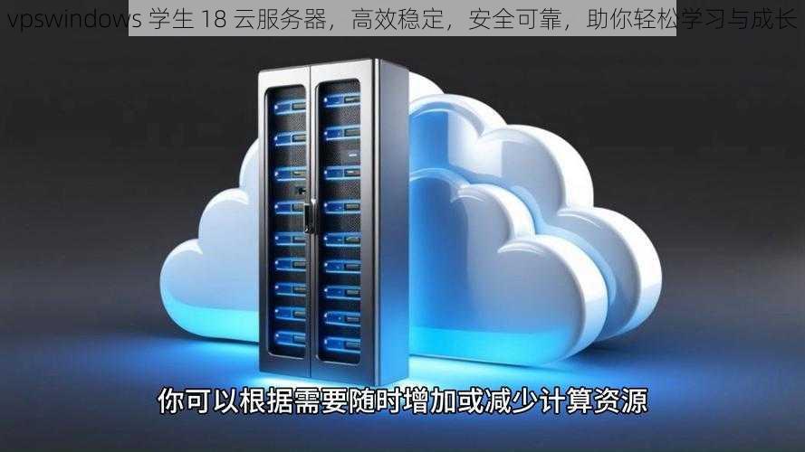 vpswindows 学生 18 云服务器，高效稳定，安全可靠，助你轻松学习与成长