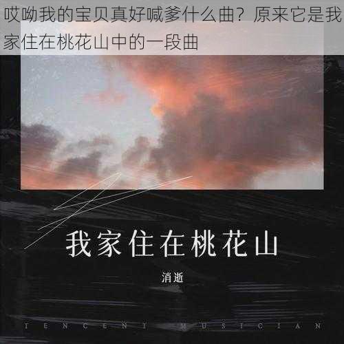 哎呦我的宝贝真好喊爹什么曲？原来它是我家住在桃花山中的一段曲