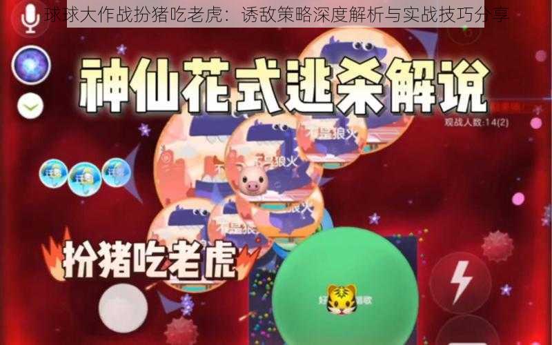 球球大作战扮猪吃老虎：诱敌策略深度解析与实战技巧分享