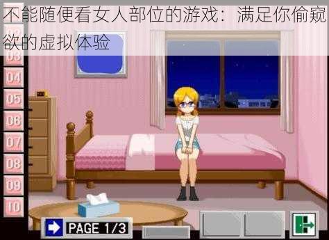 不能随便看女人部位的游戏：满足你偷窥欲的虚拟体验