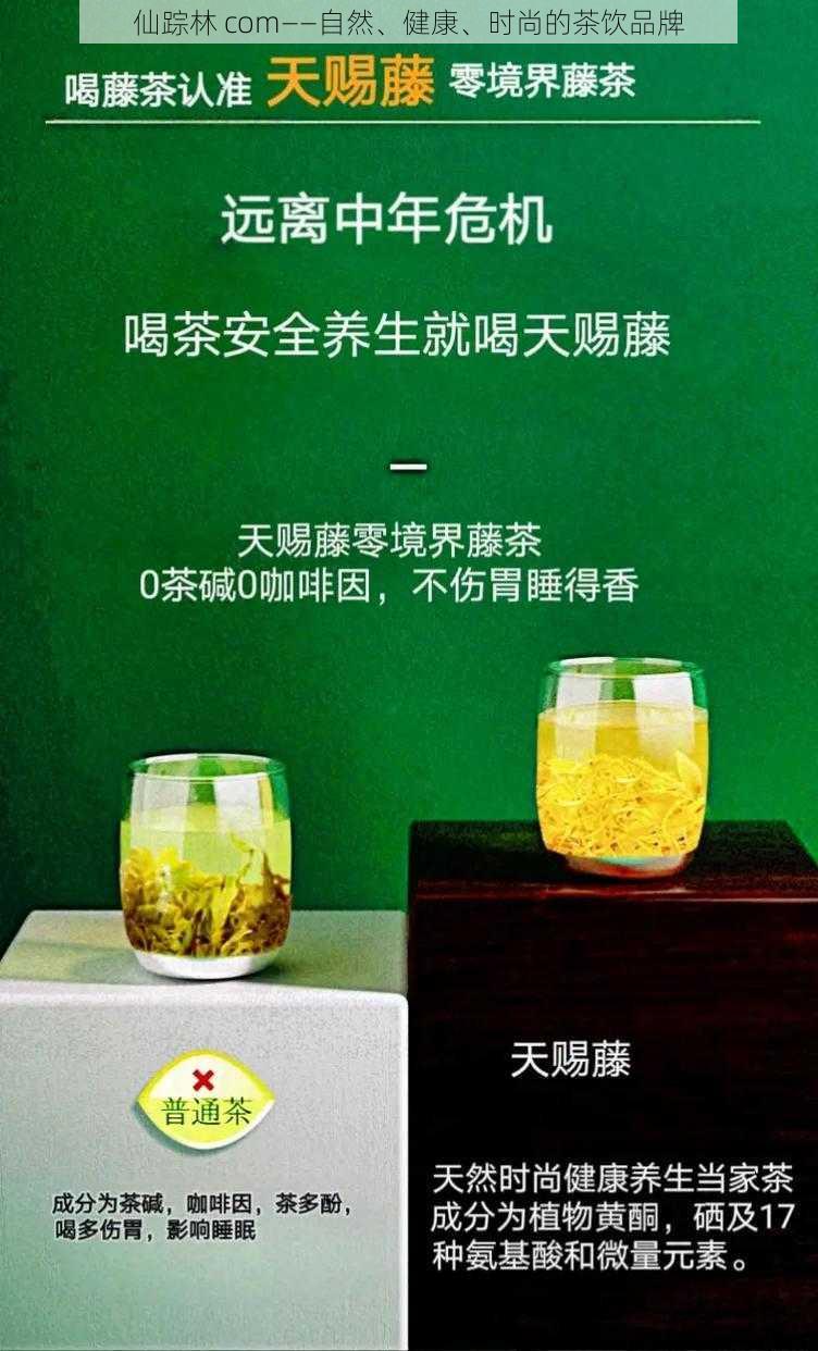 仙踪林 com——自然、健康、时尚的茶饮品牌