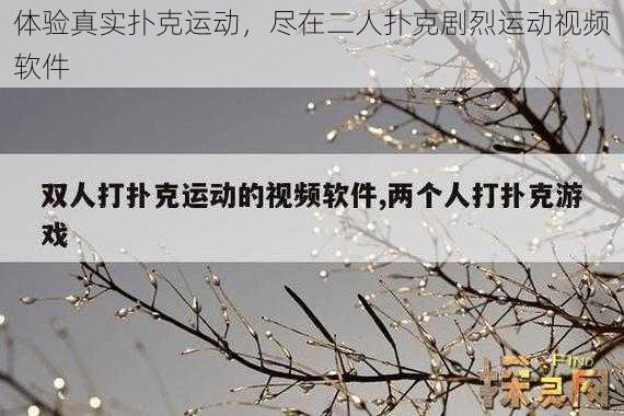 体验真实扑克运动，尽在二人扑克剧烈运动视频软件