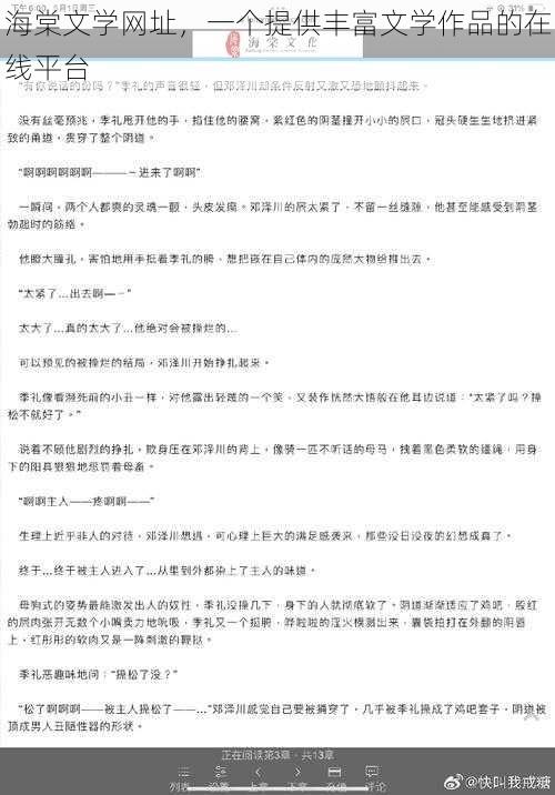 海棠文学网址，一个提供丰富文学作品的在线平台