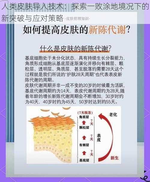 人类皮肤导入技术：探索一败涂地境况下的新突破与应对策略