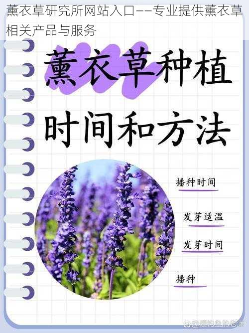 薰衣草研究所网站入口——专业提供薰衣草相关产品与服务