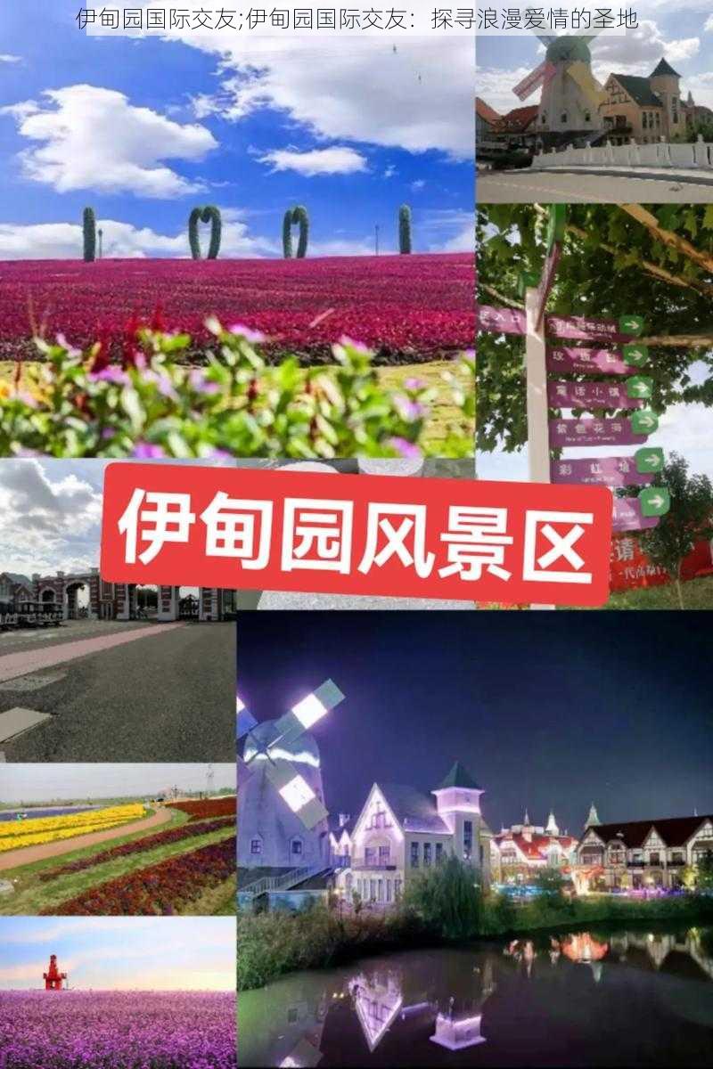 伊甸园国际交友;伊甸园国际交友：探寻浪漫爱情的圣地