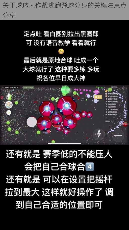 关于球球大作战逃跑踩球分身的关键注意点分享