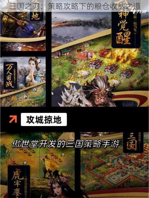 三国之刃：策略攻略下的粮仓收纳之道