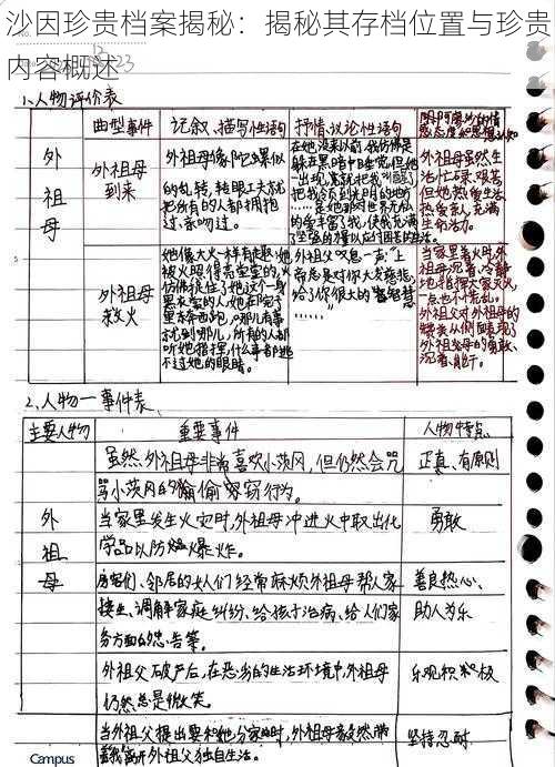 沙因珍贵档案揭秘：揭秘其存档位置与珍贵内容概述