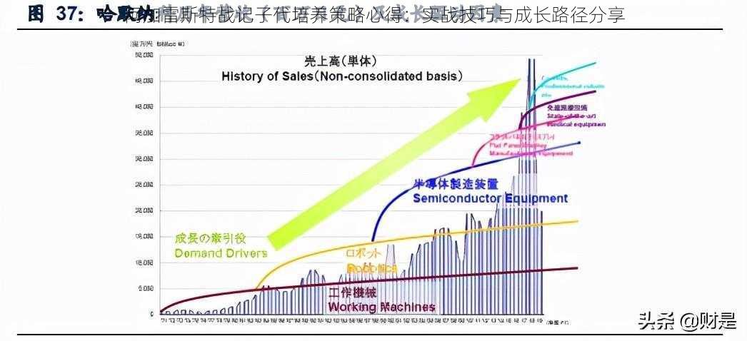 阿加雷斯特战记子代培养策略心得：实战技巧与成长路径分享