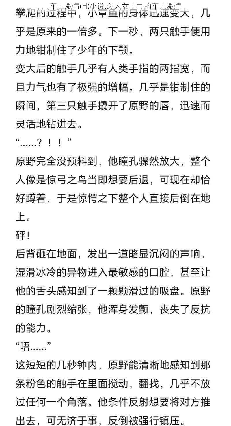 车上激情(H)小说,迷人女上司的车上激情