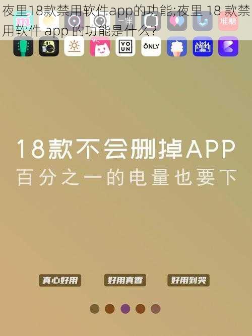 夜里18款禁用软件app的功能;夜里 18 款禁用软件 app 的功能是什么？