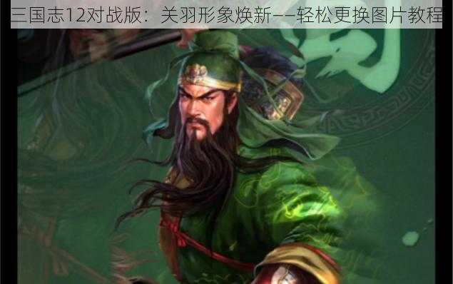 三国志12对战版：关羽形象焕新——轻松更换图片教程