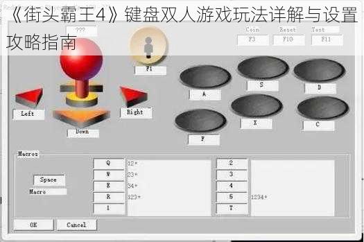 《街头霸王4》键盘双人游戏玩法详解与设置攻略指南