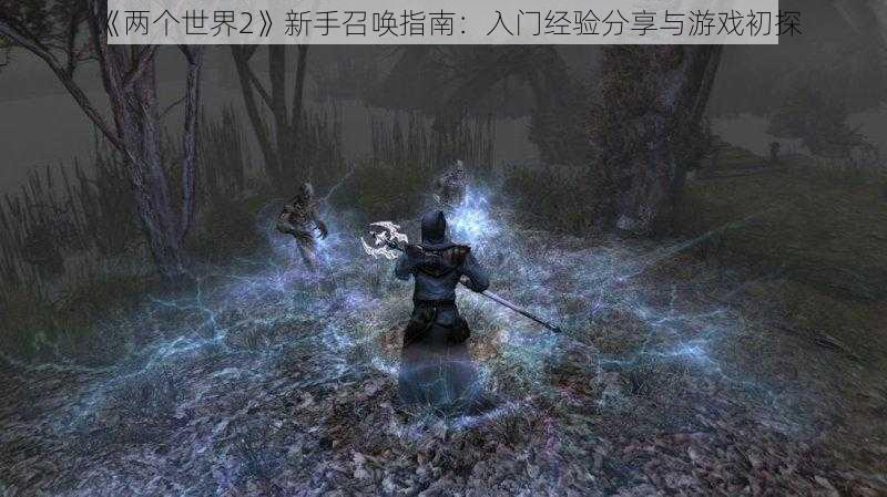 《两个世界2》新手召唤指南：入门经验分享与游戏初探