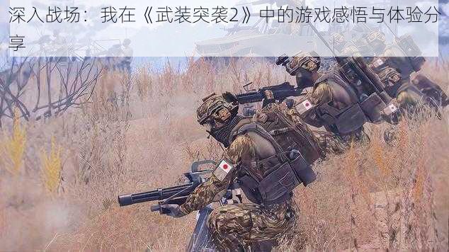 深入战场：我在《武装突袭2》中的游戏感悟与体验分享