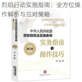 烈焰行动实施指南：全方位操作解析与应对策略