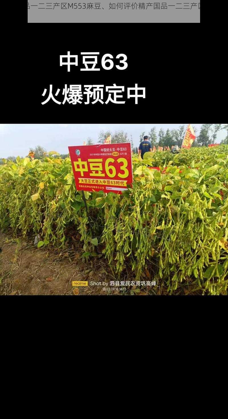 精产国品一二三产区M553麻豆、如何评价精产国品一二三产区 M553 麻豆？