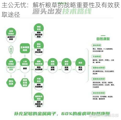 主公无忧：解析粮草的战略重要性及有效获取途径