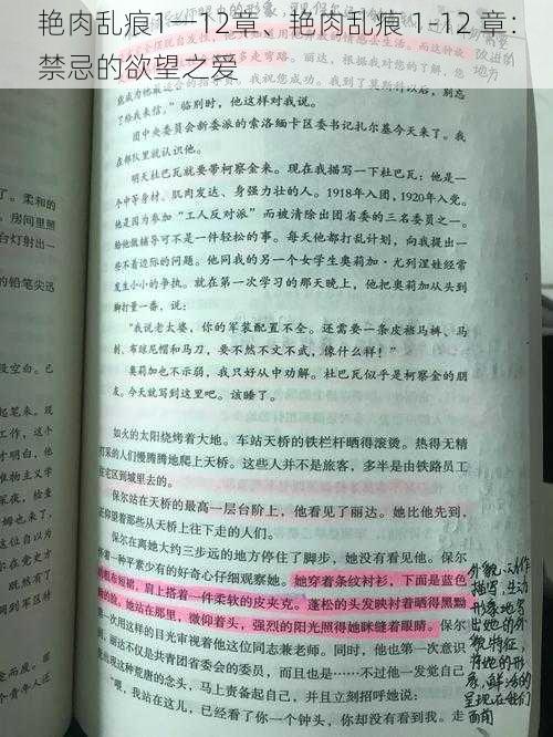 艳肉乱痕1一12章、艳肉乱痕 1-12 章：禁忌的欲望之爱