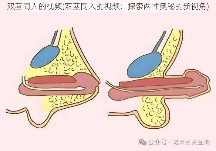 双茎同入的视频(双茎同入的视频：探索两性奥秘的新视角)