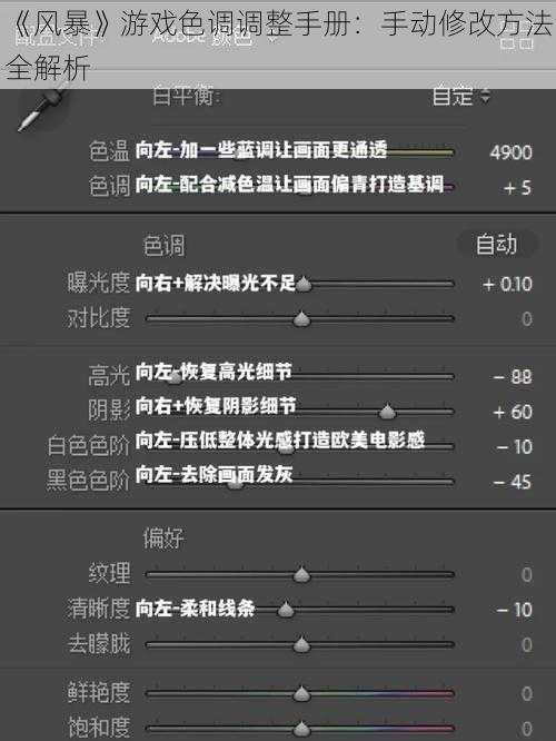 《风暴》游戏色调调整手册：手动修改方法全解析