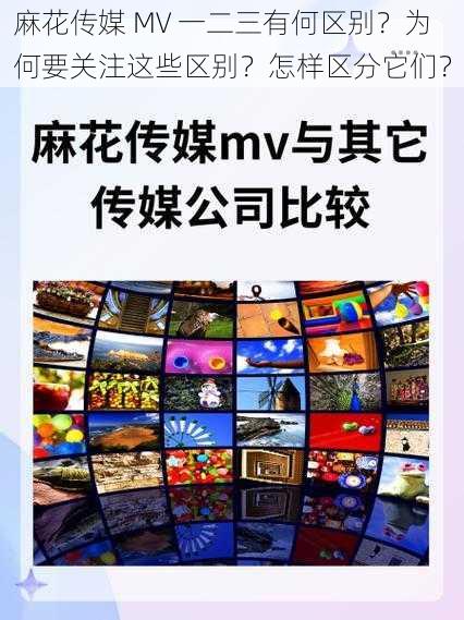 麻花传媒 MV 一二三有何区别？为何要关注这些区别？怎样区分它们？