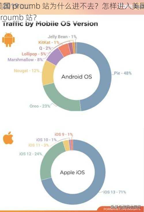 美国 proumb 站为什么进不去？怎样进入美国 proumb 站？