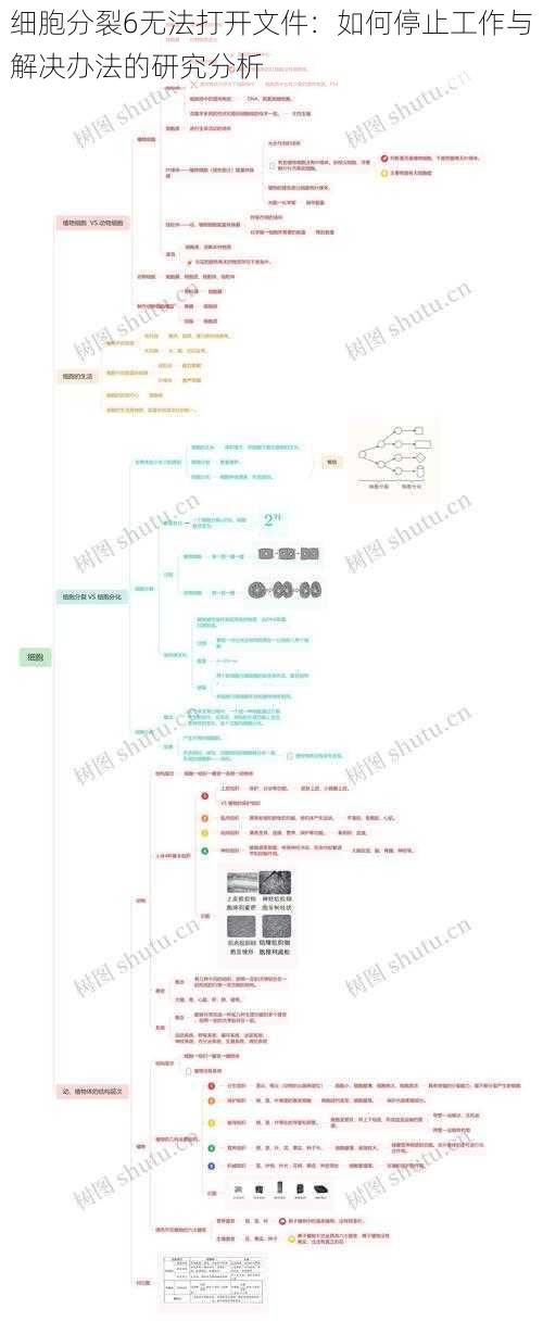 细胞分裂6无法打开文件：如何停止工作与解决办法的研究分析