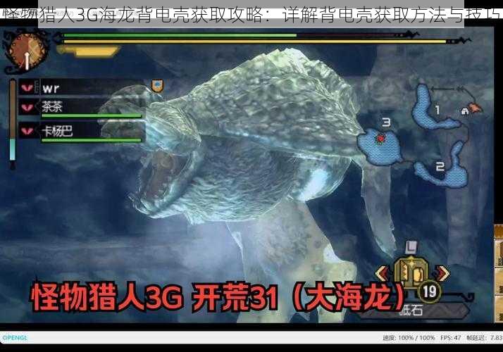 怪物猎人3G海龙背电壳获取攻略：详解背电壳获取方法与技巧