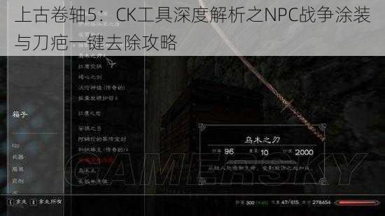 上古卷轴5：CK工具深度解析之NPC战争涂装与刀疤一键去除攻略