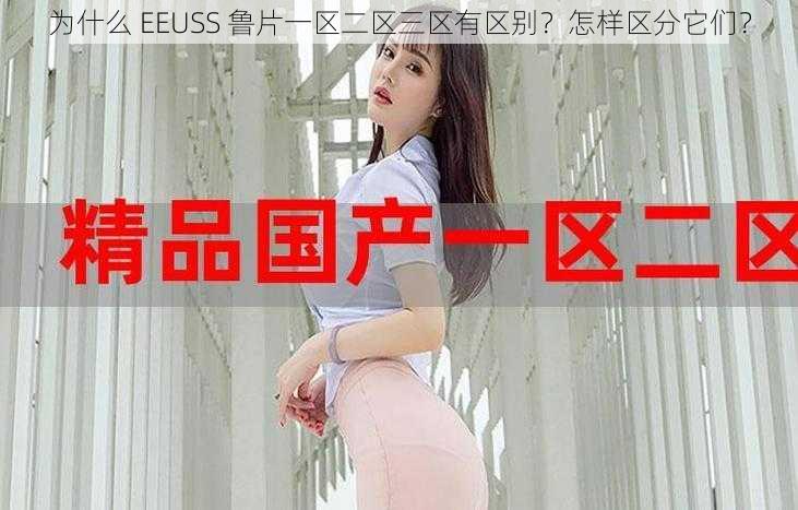 为什么 EEUSS 鲁片一区二区三区有区别？怎样区分它们？