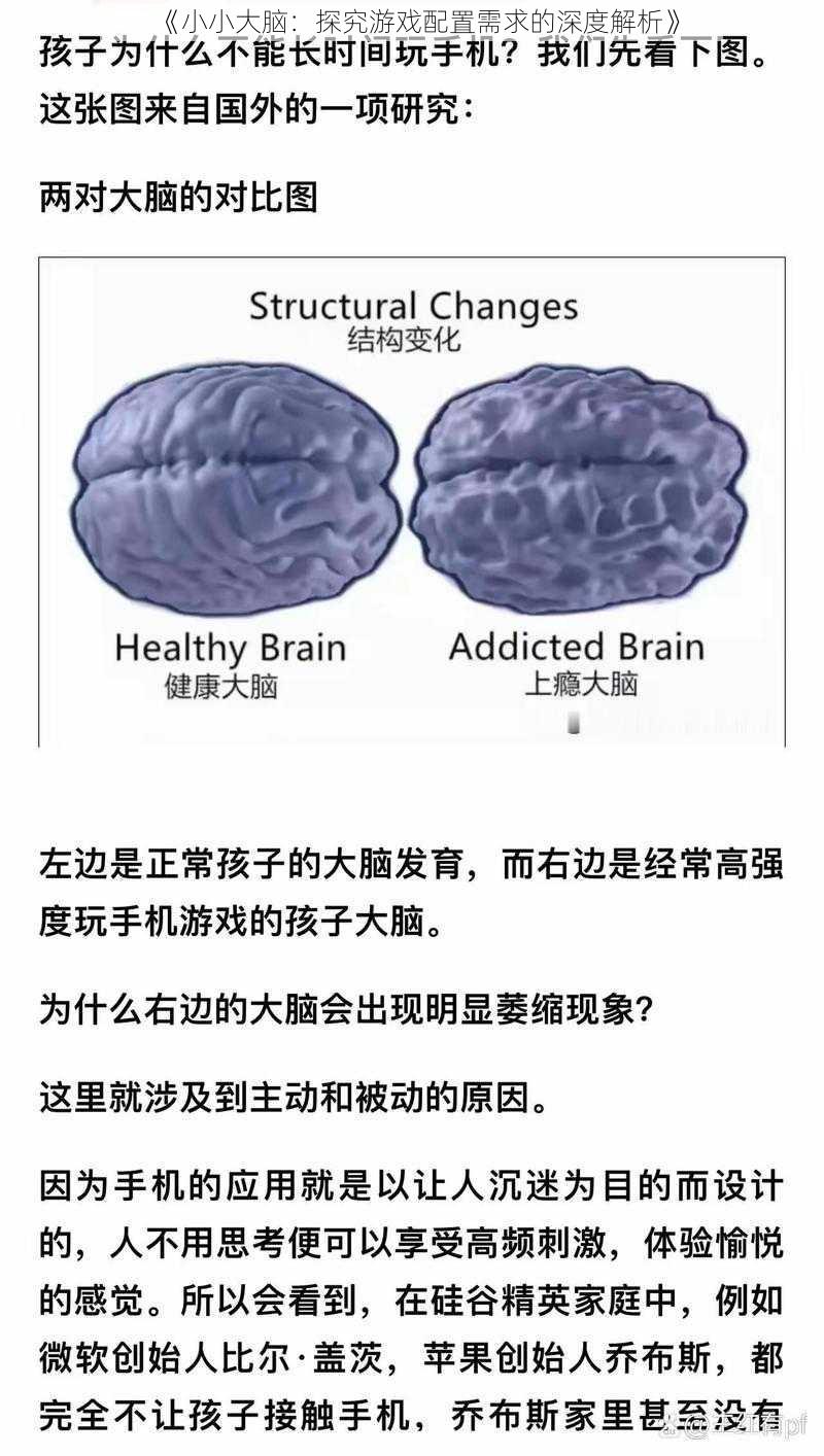 《小小大脑：探究游戏配置需求的深度解析》