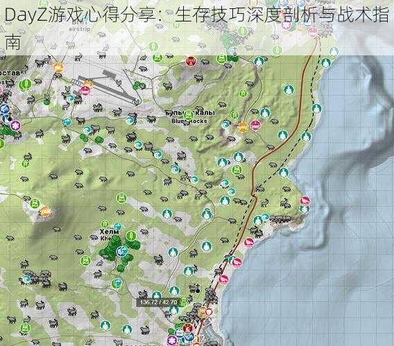 DayZ游戏心得分享：生存技巧深度剖析与战术指南