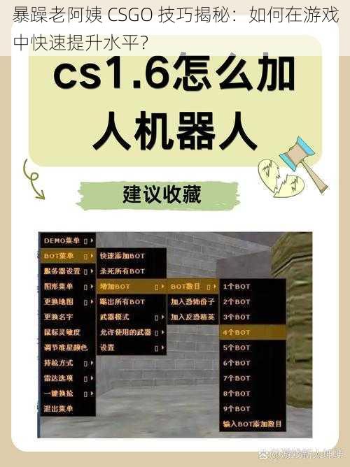 暴躁老阿姨 CSGO 技巧揭秘：如何在游戏中快速提升水平？