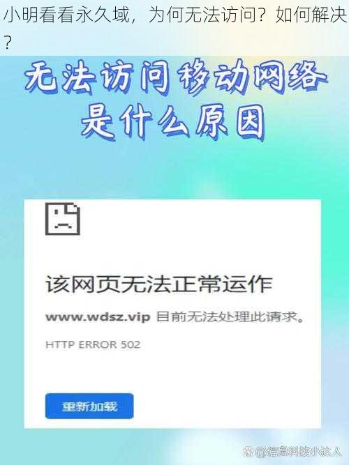 小明看看永久域，为何无法访问？如何解决？