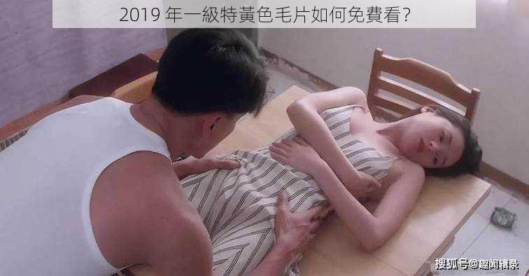 2019 年一級特黃色毛片如何免費看？