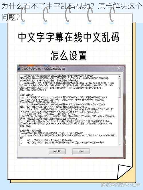 为什么看不了中字乱码视频？怎样解决这个问题？