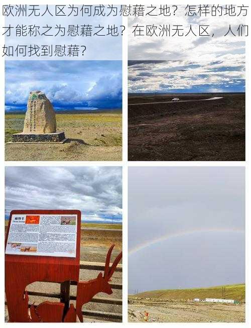 欧洲无人区为何成为慰藉之地？怎样的地方才能称之为慰藉之地？在欧洲无人区，人们如何找到慰藉？