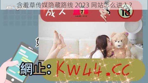 含羞草传媒隐藏路线 2023 网站怎么进入？