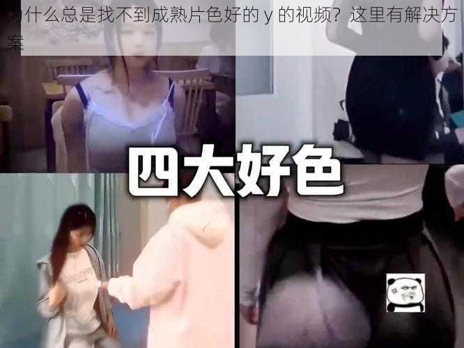 为什么总是找不到成熟片色好的 y 的视频？这里有解决方案