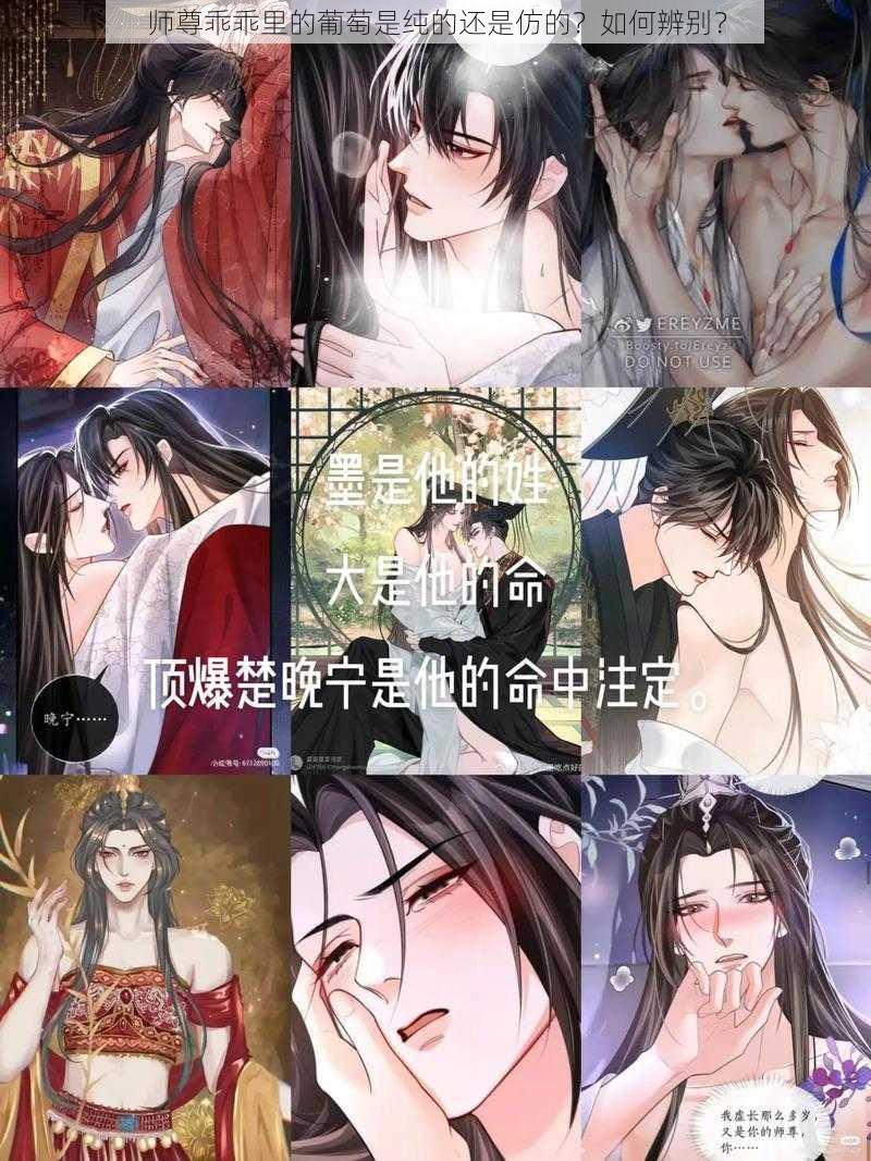 师尊乖乖里的葡萄是纯的还是仿的？如何辨别？